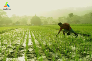 Kisan Diwas